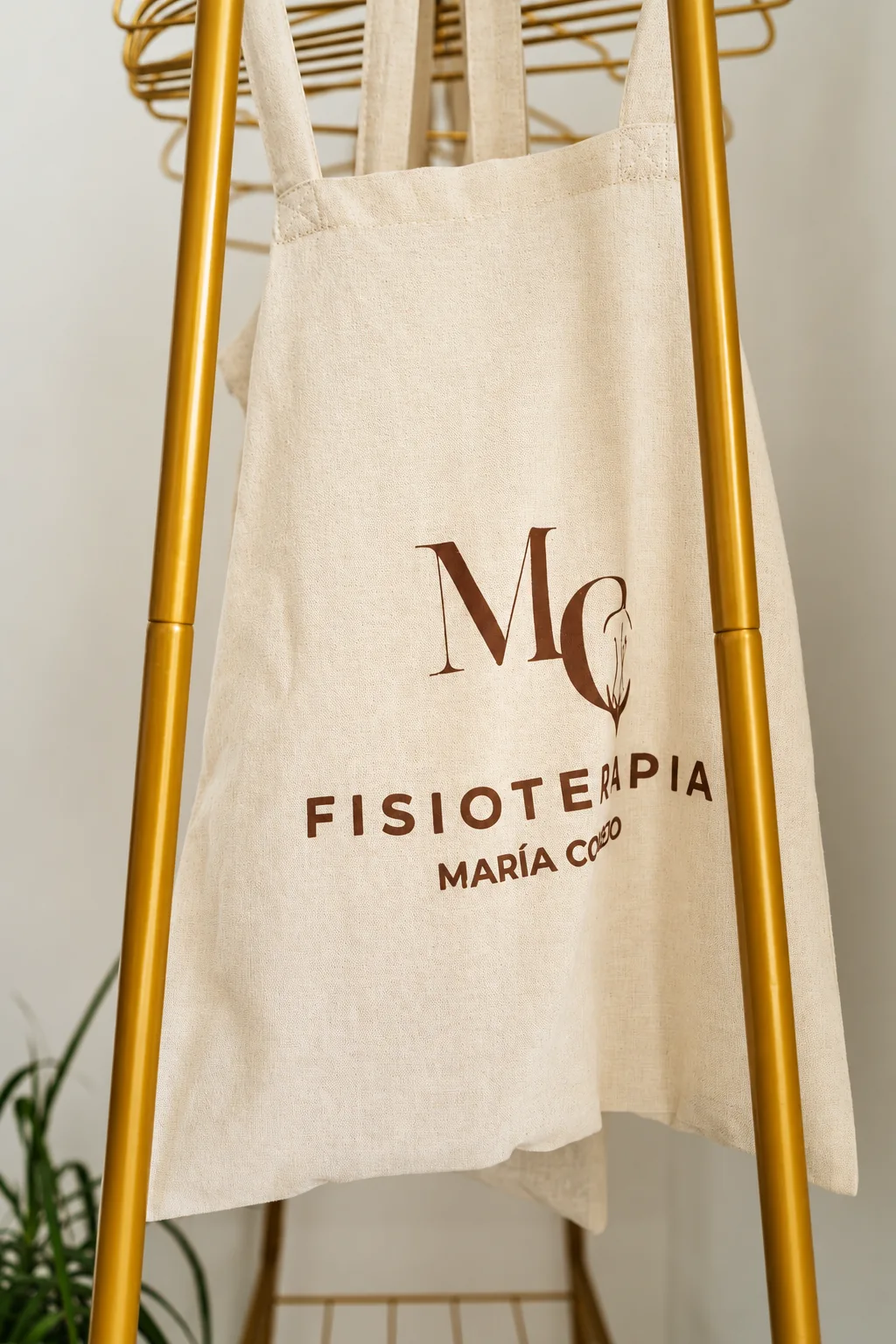 Fisioterapia a domicilio