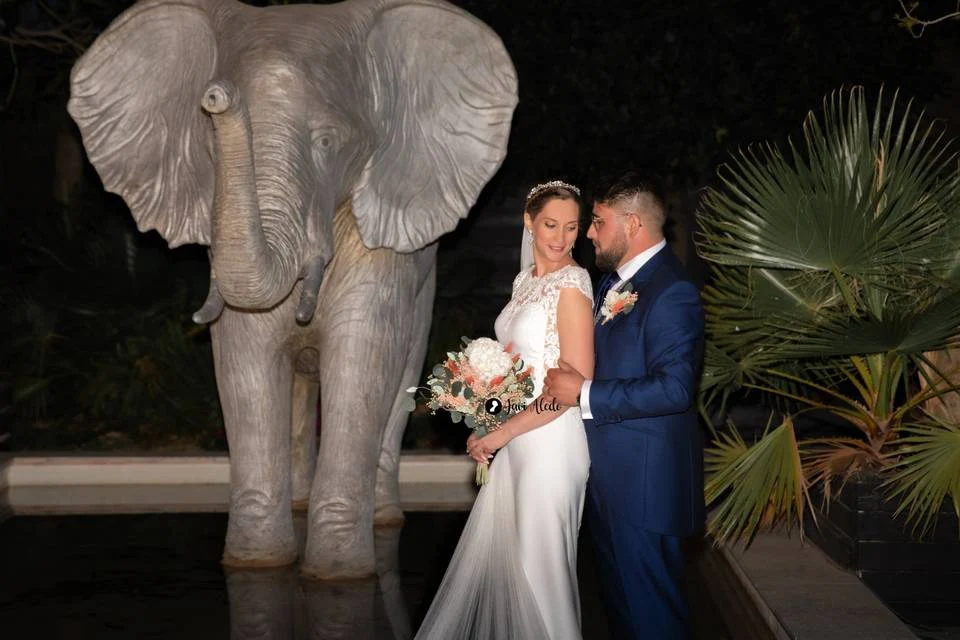 Novios junto a la escultura de un elefante